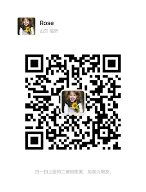 the qr code